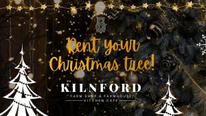 Rent your Christmas Tree at Kilnford